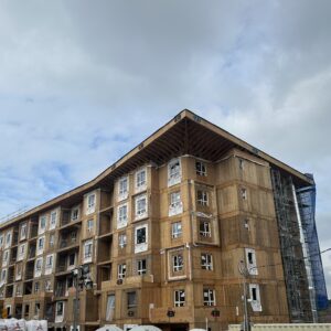 image_50443265